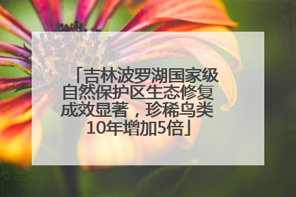 吉林波罗湖国家级自然保护区生态修复成效显著，珍稀鸟类10年增加5倍