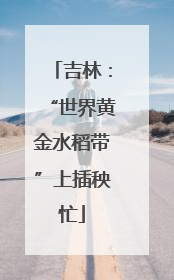 吉林：“世界黄金水稻带”上插秧忙