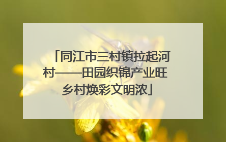 同江市三村镇拉起河村——田园织锦产业旺 乡村焕彩文明浓
