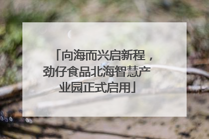 向海而兴启新程，劲仔食品北海智慧产业园正式启用