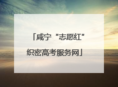 咸宁“志愿红”织密高考服务网