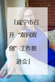 咸宁市召开“双回双创”工作推进会