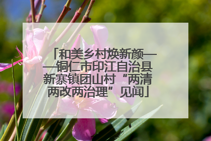 和美乡村焕新颜——铜仁市印江自治县新寨镇团山村“两清两改两治理”见闻