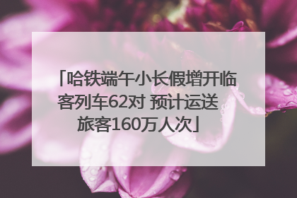 哈铁端午小长假增开临客列车62对 预计运送旅客160万人次
