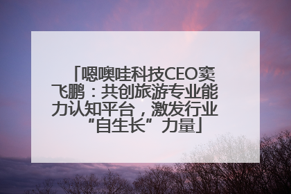 嗯噢哇科技CEO窦飞鹏：共创旅游专业能力认知平台，激发行业“自生长”力量