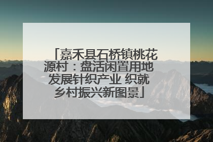 嘉禾县石桥镇桃花源村：盘活闲置用地发展针织产业 织就乡村振兴新图景