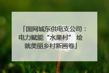 国网城东供电支公司：电力赋能“水果村” 绘就美丽乡村新画卷