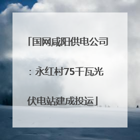国网咸阳供电公司：永红村75千瓦光伏电站建成投运