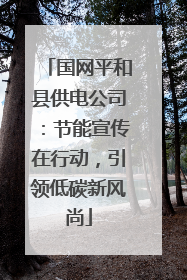 国网平和县供电公司：节能宣传在行动，引领低碳新风尚