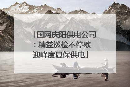 国网庆阳供电公司：精益巡检不停歇 迎峰度夏保供电