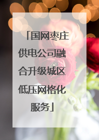 国网枣庄供电公司融合升级城区低压网格化服务