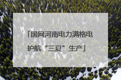 国网河南电力满格电护航“三夏”生产