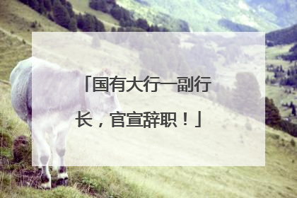 国有大行一副行长，官宣辞职！
