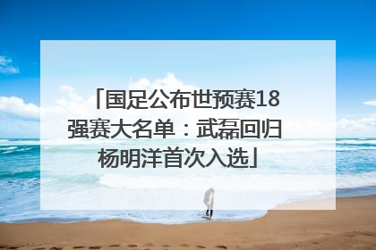 国足公布世预赛18强赛大名单：武磊回归 杨明洋首次入选