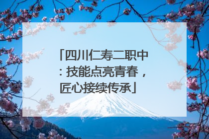 四川仁寿二职中：技能点亮青春，匠心接续传承