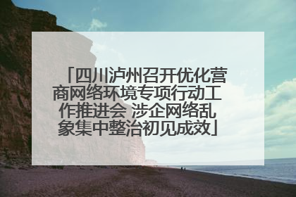 四川泸州召开优化营商网络环境专项行动工作推进会 涉企网络乱象集中整治初见成效