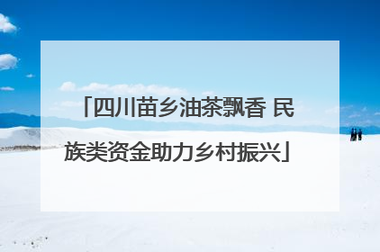四川苗乡油茶飘香 民族类资金助力乡村振兴