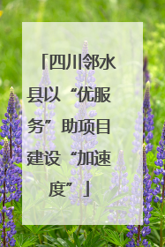 四川邻水县以“优服务”助项目建设“加速度”