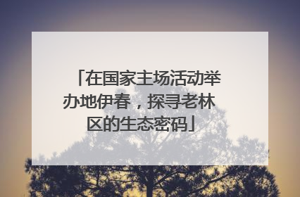 在国家主场活动举办地伊春，探寻老林区的生态密码