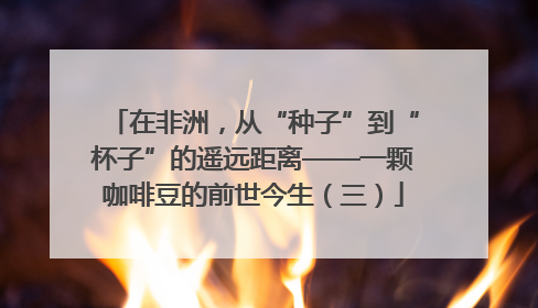 在非洲，从“种子”到“杯子”的遥远距离——一颗咖啡豆的前世今生（三）