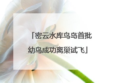 密云水库鸟岛首批幼鸟成功离巢试飞