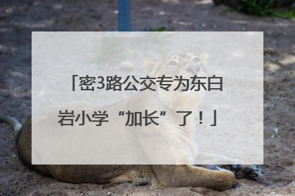 密3路公交专为东白岩小学“加长”了！