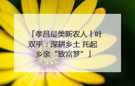孝昌最美新农人丨叶双平：深耕乡土 托起乡亲“致富梦”
