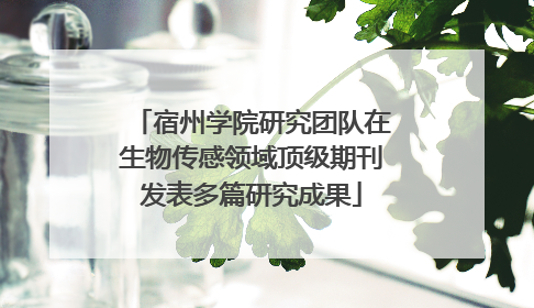 宿州学院研究团队在生物传感领域顶级期刊发表多篇研究成果