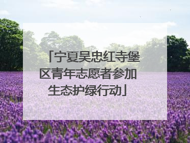 宁夏吴忠红寺堡区青年志愿者参加生态护绿行动