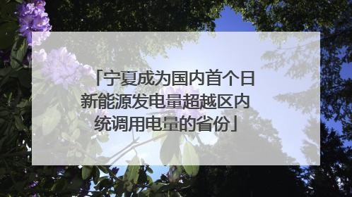 宁夏成为国内首个日新能源发电量超越区内统调用电量的省份