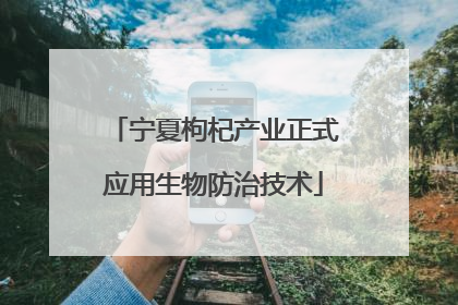 宁夏枸杞产业正式应用生物防治技术