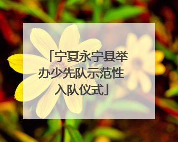 宁夏永宁县举办少先队示范性入队仪式