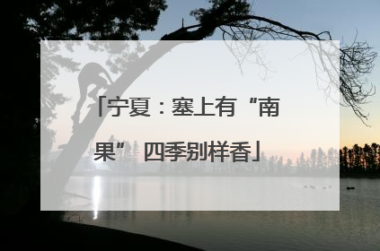 宁夏：塞上有“南果” 四季别样香
