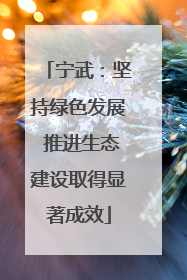 宁武：坚持绿色发展 推进生态建设取得显著成效