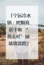 宁远冷水镇：烤烟喜获丰收 “黄金叶”铺就致富路