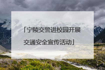 宁陵交警进校园开展交通安全宣传活动
