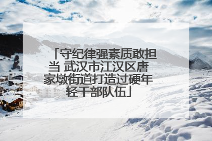 守纪律强素质敢担当 武汉市江汉区唐家墩街道打造过硬年轻干部队伍