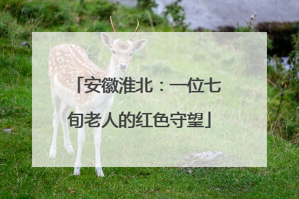 安徽淮北：一位七旬老人的红色守望