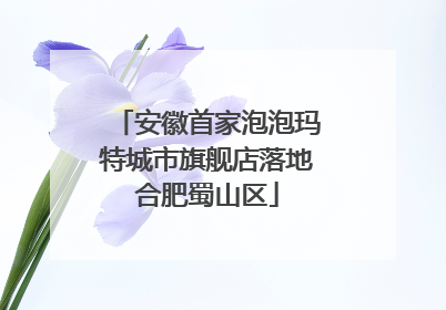 安徽首家泡泡玛特城市旗舰店落地合肥蜀山区