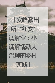 安峰派出所“红安”调解室：小调解撬动大治理的乡村实践