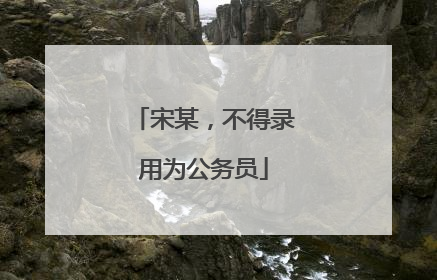 宋某，不得录用为公务员