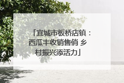 宜城市板桥店镇：西瓜丰收销售俏 乡村振兴添活力