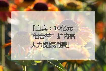 宜宾：10亿元“组合拳”扩内需 大力提振消费