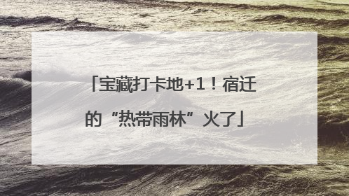 宝藏打卡地+1！宿迁的“热带雨林”火了