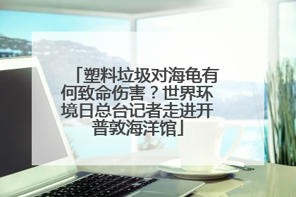 塑料垃圾对海龟有何致命伤害？世界环境日总台记者走进开普敦海洋馆