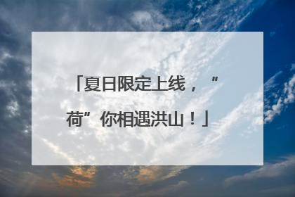 夏日限定上线，“荷”你相遇洪山！