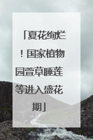 夏花绚烂！国家植物园萱草睡莲等进入盛花期