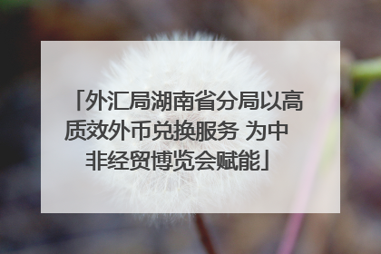 外汇局湖南省分局以高质效外币兑换服务 为中非经贸博览会赋能