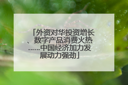 外资对华投资增长、数字产品消费火热……中国经济加力发展动力强劲