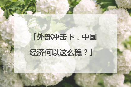 外部冲击下，中国经济何以这么稳？